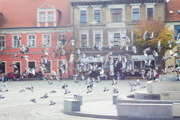 Die Erste Hauptstadt Polens Das Zentrum Von Gniezno Der Marktplatz — Stockfoto