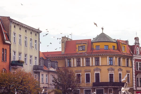 Pierwsza Stolica Polski Centrum Gniezna Rynek — Zdjęcie stockowe