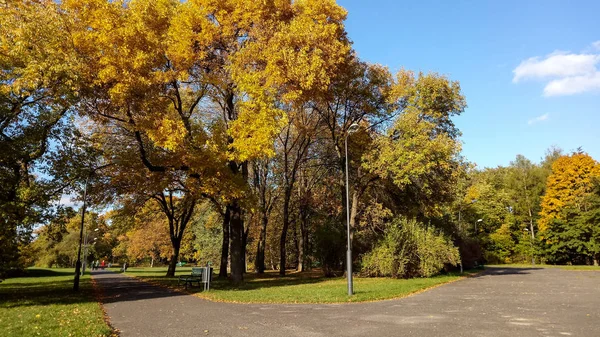 Jesienny Park Centrum Miasta — Zdjęcie stockowe