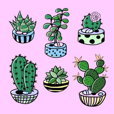 çizgi film dizi kaktüs, sulu ve tencere