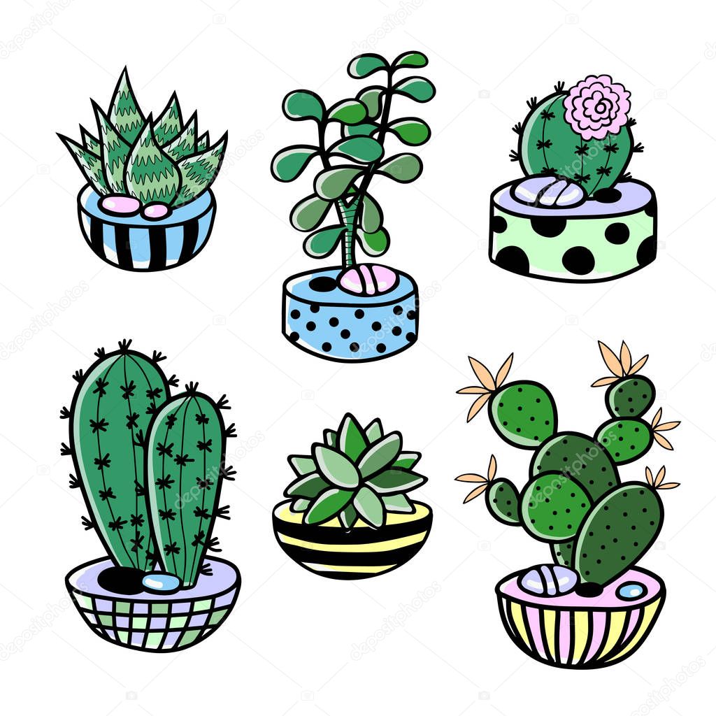 cartoon set of cactus, succulent and pots