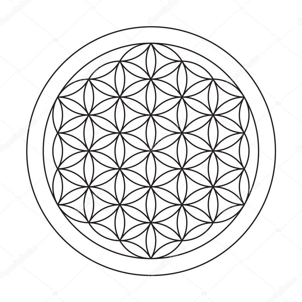 Flower of life graphic symbol