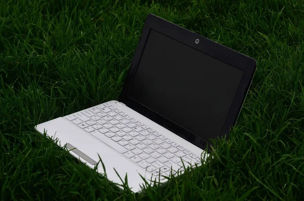 Laptop on grass — Stock Photo, Image