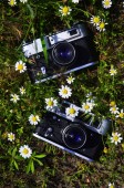 Staré fotoaparáty od poloviny dvacátého století v zeleném poli gerbery a zelené trávy