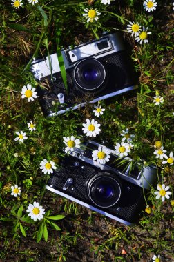 Bir eski fotoğraf makinesi üzerinden orta 20 daises ve yeşil çim yeşil alanı