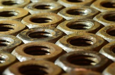 Paslı fındık Close-Up