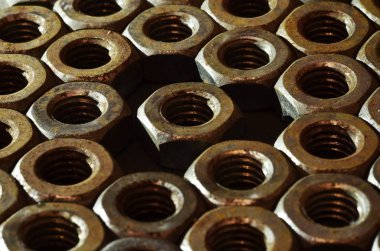 Paslı fındık yığını closeup