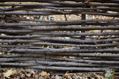 Yıpranmış ahşap duvar dokusu. Yaşlı ahşap çit