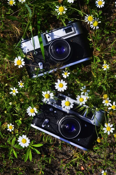 Uma Velha Câmera Fotográfica Meados Século Campo Verde Margaridas Grama — Fotografia de Stock