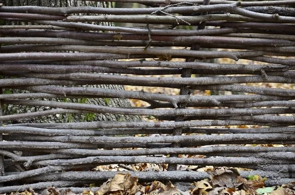 Texture Weathered Wooden Wall Aged Wooden Fence — Stock Photo, Image