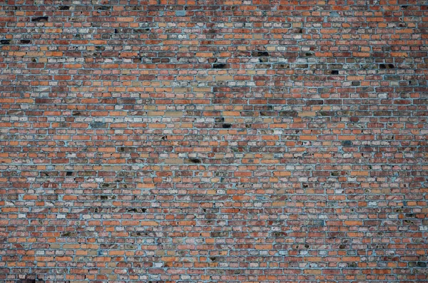 赤レンガの壁の質感 — ストック写真