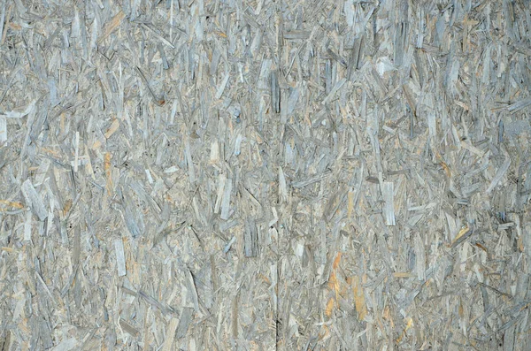 Yıpranmış ahşap tahta çit gündüz açık havada doku