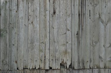 Yıpranmış ahşap duvarın dokusu. Dikey düz tahtalardan oluşan eski ahşap çitler.