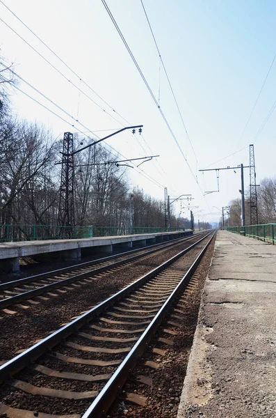 Bir Tren Istasyonu Trenler Güneşli Bir Günde Bir Çok Ağaçlar — Stok fotoğraf