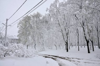 Kharkov, Ukrayna - 19 Nisan 2017: Kharkov sokaklarda Nisan ayında kar beklenmeyen hızlı serpinti. Soğuk ve olumsuz kış şartları ortasında bahar
