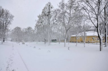 Kharkov, Ukrayna - 19 Nisan 2017: Kharkov sokaklarda Nisan ayında kar beklenmeyen hızlı serpinti. Soğuk ve olumsuz kış şartları ortasında bahar