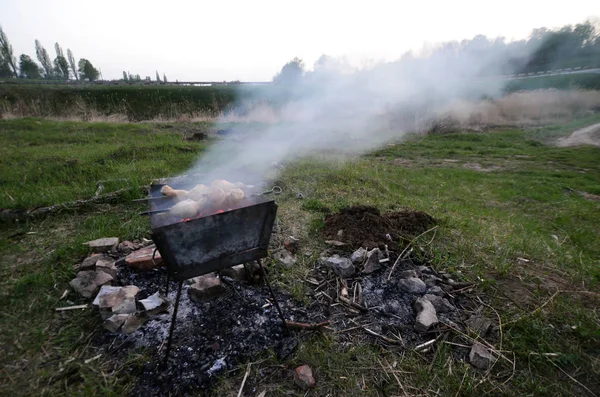 Shish kebabs from chicken wings are fried in the field — Stock Photo, Image