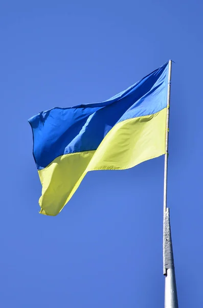 Український Прапор Проти Синього Безхмарне Небо Офіційний Прапор Української Держави — стокове фото