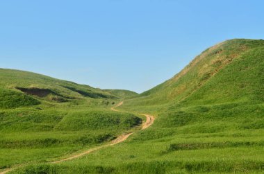 Harika bir yeşil dağlık arazi geçen bir çiğnenmiş yolu ile manzara. Fotoğraf güzel bir estetikle düzenlenmiş rahatlama alanı ince yolu ile