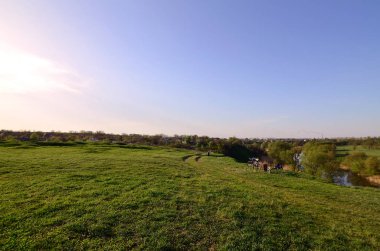 Kırsal manzara vahşi reed alanı ve küçük bir göl ile. Geri kalanı için ekolojik temiz yer