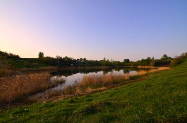 Kırsal manzara vahşi reed alanı ve küçük bir göl ile. Geri kalanı için ekolojik temiz yer
