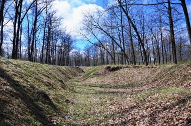 Bahar yatay, derin bir uçuruma düşen yapraklar bir sürü ağaç orman Köyü kenarına çevrili dolu