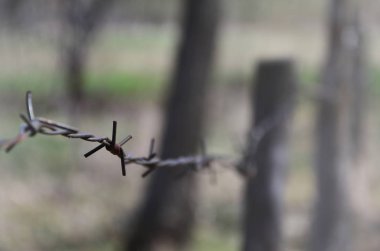 Makro çekim bir öğe eski ve paslı dikenli tel ile arka plan bulanık. Bir köy çit bölgesel bir sitenin parçası