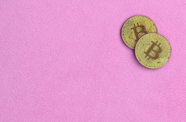 İki altın bitcoins yumuşak ve kabarık hafif pembe Polar kumaştan yapılmış bir battaniye yatıyor. Sanal Kripto para biriminin fiziksel görselleştirme