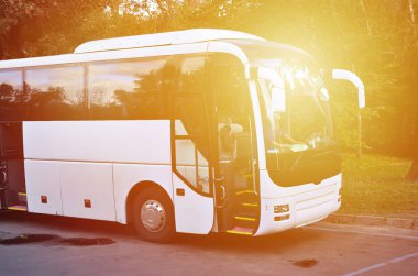 Turist otobüsü geziler için beyaz. Otobüs park yakınındaki bir park yerinde duruyor