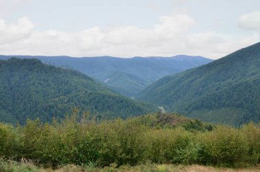 Karpatlar, Ukrayna dağlık arazide parçası. Orman Karpat Dağları kabartmaları tarafından affedilebilir olduğu