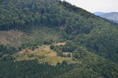 Karpatlar, Ukrayna dağlık arazide parçası. Orman Karpat Dağları kabartmaları tarafından affedilebilir olduğu