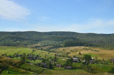 İğne yapraklı ağaçlar çok Karpat Dağları fotoğraf. Erken sonbahar sezonu orman ve dağ manzarası