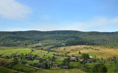 İğne yapraklı ağaçlar çok Karpat Dağları fotoğraf. Erken sonbahar sezonu orman ve dağ manzarası