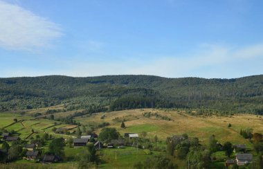 İğne yapraklı ağaçlar çok Karpat Dağları fotoğraf. Erken sonbahar sezonu orman ve dağ manzarası