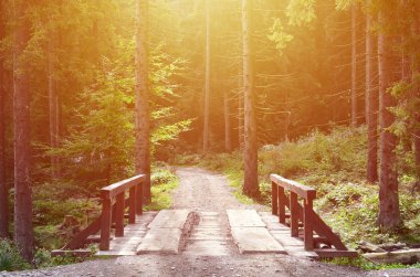 Ormanın ortasında arabalar için nehrin karşısındaki küçük bir kısa köprü