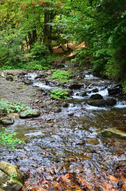Yakın çekim görüntü dağ taş arasında su kısa streams şeklinde küçük bir vahşi şelale