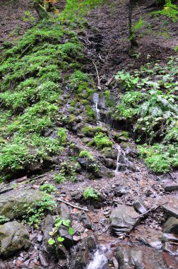 Bir küçük su akışı bir dağlık alanda yakın çekim görüntüsü