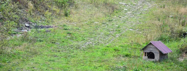Una Pequeña Perrera Aire Libre Campo Hierba — Foto de Stock