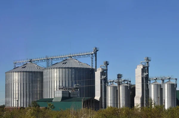 Steel silos for grain storage and processing facilities. Modern elevator