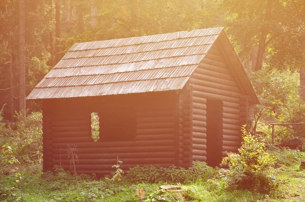 小さな自然家 木造します 当館は森の中 — ストック写真