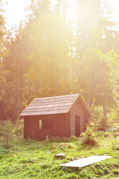 Kis Természetes House Fából Épült Épület Erdőben Található — Stock Fotó