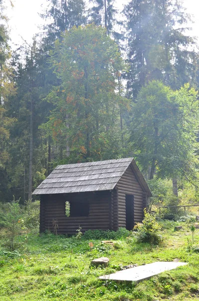 Pequena Casa Natural Que Construída Madeira Edifício Está Localizado Floresta — Fotografia de Stock