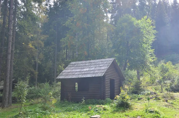 Litet Naturliga Hus Som Byggd Trä Byggnaden Belägen Skogen — Stockfoto