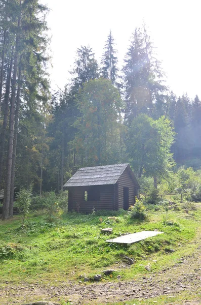 Kis Természetes House Fából Épült Épület Erdőben Található — Stock Fotó