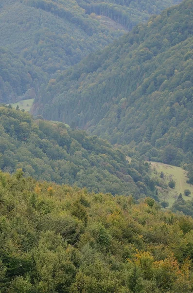 Fragment Górzysty Teren Regionie Karpaty Ukraina Las Jest Przebaczenie Przez — Zdjęcie stockowe