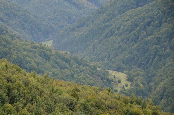 Fragment Den Bergiga Terrängen Karpaterna Ukraina Skogen Förlåten Relieferna Karpaterna — Stockfoto