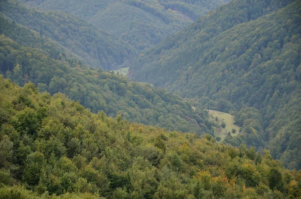 Fragment Den Bergiga Terrängen Karpaterna Ukraina Skogen Förlåten Relieferna Karpaterna — Stockfoto