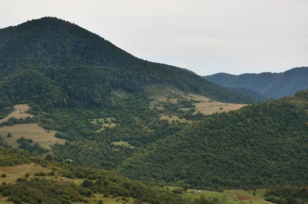 Fragmento Terreno Montanhoso Nos Cárpatos Ucrânia Floresta Perdoada Pelos Relevos — Fotografia de Stock