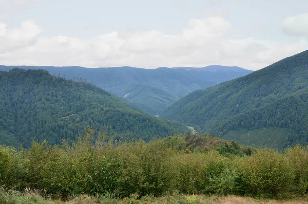 Karpatlar, Ukrayna dağlık arazide parçası. Orman Karpat Dağları kabartmaları tarafından affedilebilir olduğu