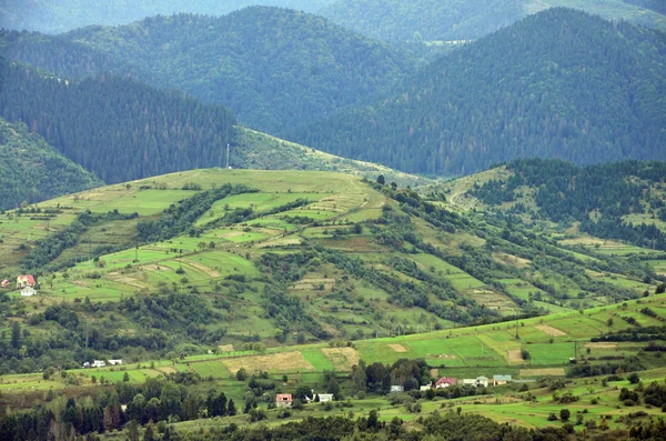 Fragmento Terreno Montanhoso Nos Cárpatos Ucrânia Floresta Perdoada Pelos Relevos — Fotografia de Stock